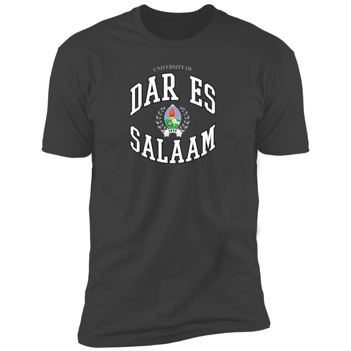 University of Dar es Salaam Classic T-Shirt (Unisex)