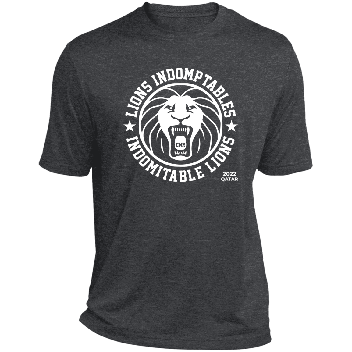 Cameroon Indomitable Lions Qatar 2022 Men's Sports T-Shirt