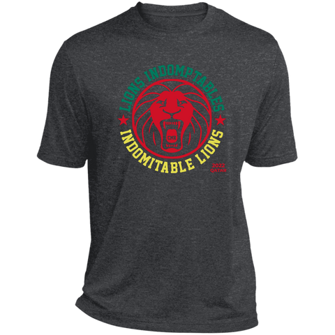 Cameroon Indomitable Lions Qatar 2022 Men's Sports T-Shirt